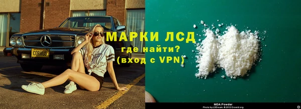 гашик Сосновый Бор