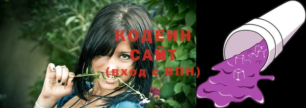 гашик Сосновый Бор