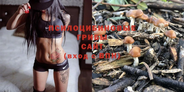 гашик Сосновый Бор