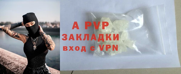 гашик Сосновый Бор