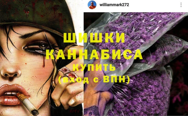 гашик Сосновый Бор
