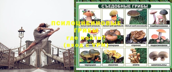 гашик Сосновый Бор