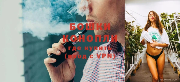 гашик Сосновый Бор