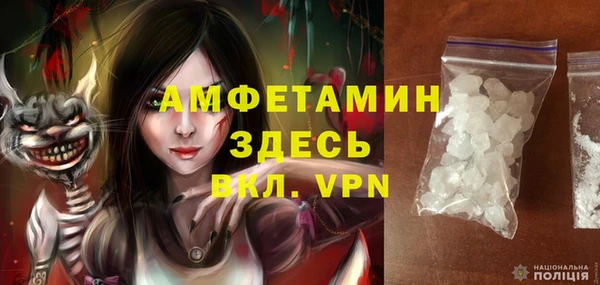 гашик Сосновый Бор