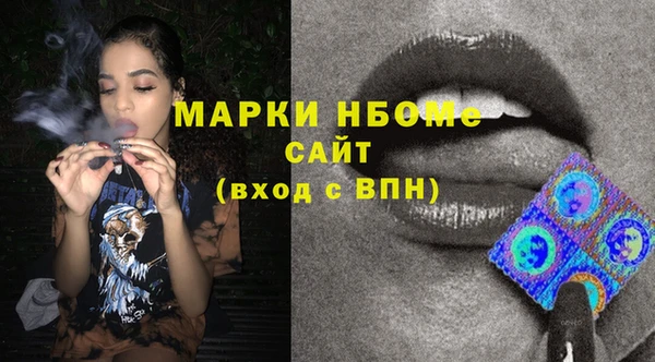 гашик Сосновый Бор
