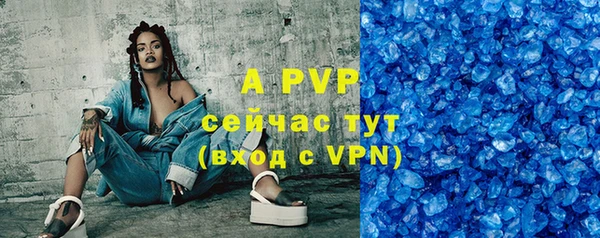 гашик Сосновый Бор