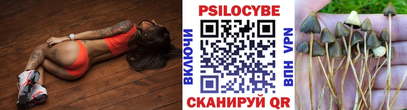 Галлюциногенные грибы Magic Shrooms  Купить закладки  Змеиногорск 