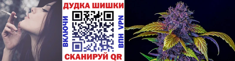 Купить где  Змеиногорск  Канабис Amnesia 
